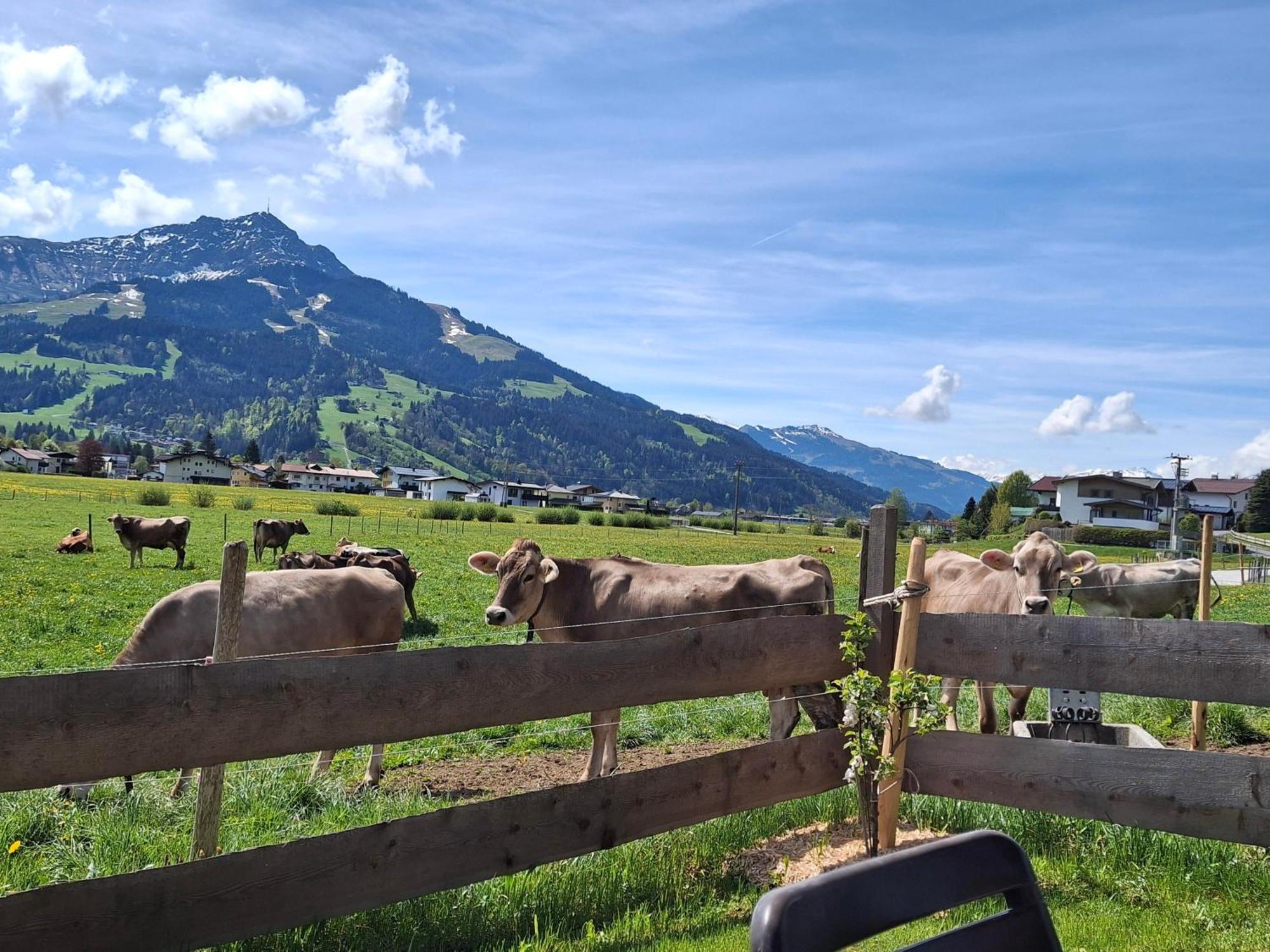 Lampererhof Villa Sankt Johann in Tirol Buitenkant foto