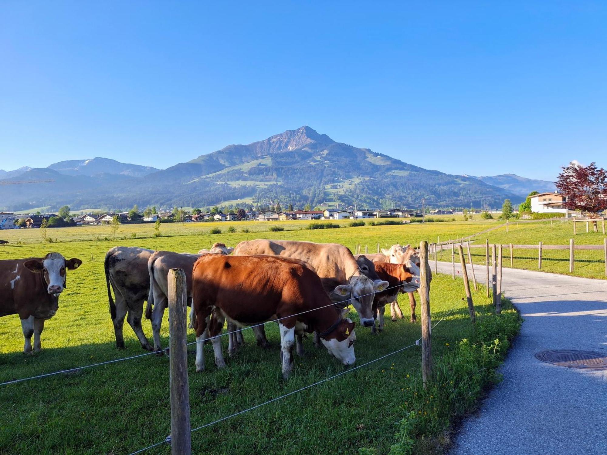 Lampererhof Villa Sankt Johann in Tirol Buitenkant foto